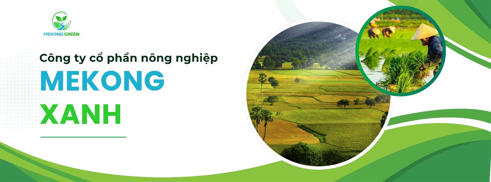 Công ty Cổ phần Nông nghiệp Mekong Xanh