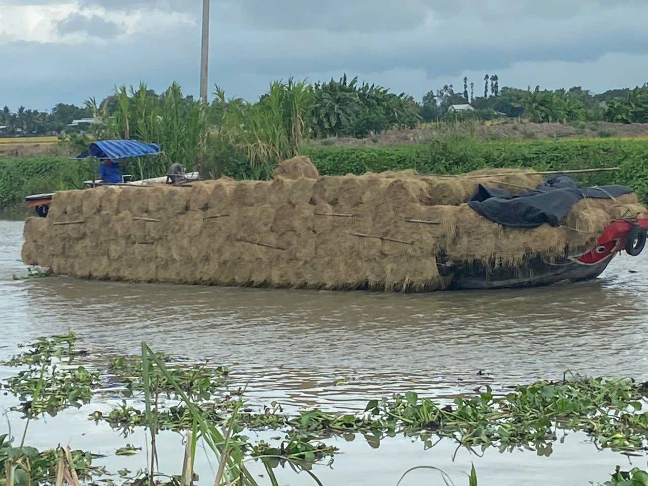 Ghe chở hàng trên kênh